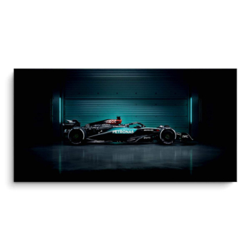 Mercedes Formula 1 Garage PVC Matt Art