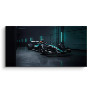 Formula 1 Garage Display Canvas Art