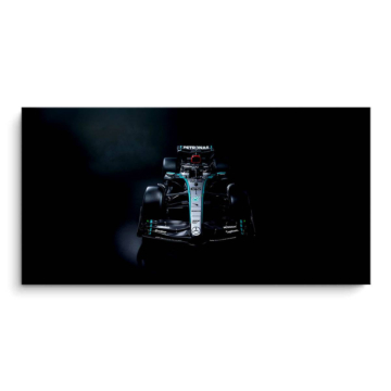 Mercedes AMG F1 W14 PVC Matt Art