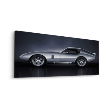 Plateado Shelby Cobra Coupe - cuadro Dibond mate