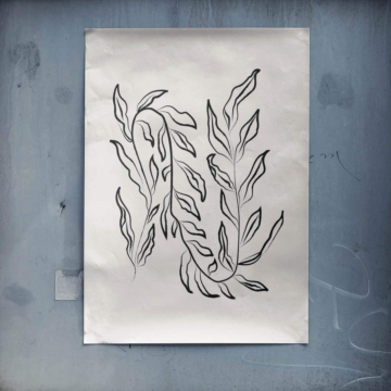 botanique feuillage ligne - poster