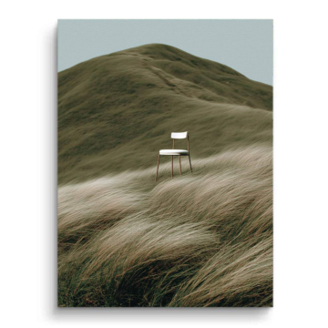 Solitary Chair Meadow Canvas Art