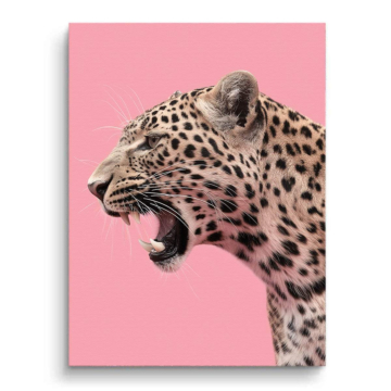 Brüllender Leopard vor pinkem Hintergrund - Leinwandbild