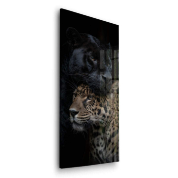 Leopard Schatten Porträt - Acrylglasbild