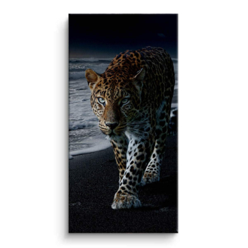 Night Leopard Portrait Canvas Art
