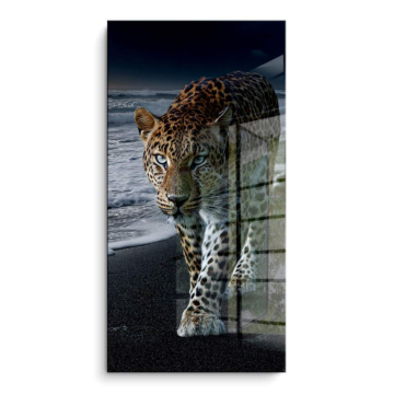 Retrato nocturno de leopardo - cuadro PVC brillante