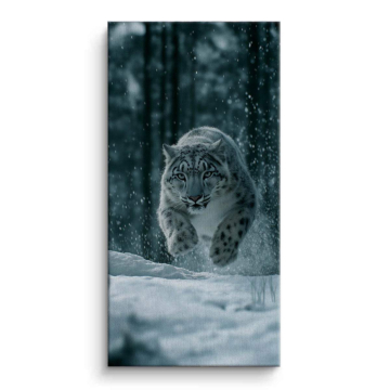 Snow Leopard Racer Canvas Art