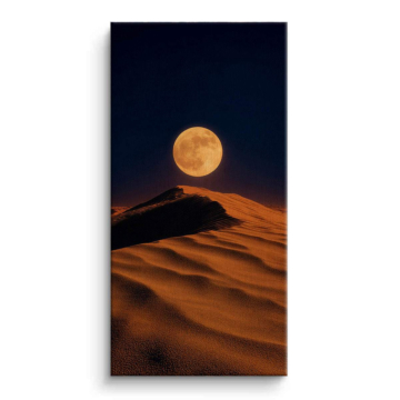 Moonlit Desert Dunes Canvas Art
