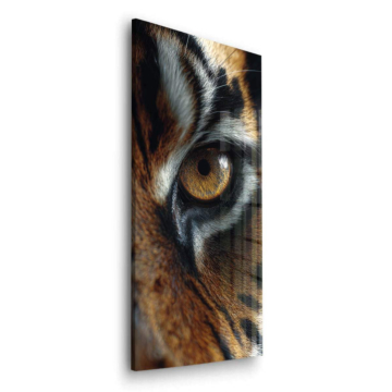 Tigre œil gros plan - tableau en verre acrylique