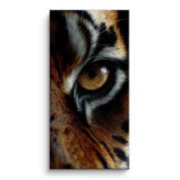 Tiger Eye Closeup Canvas Art