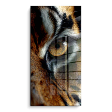 Tigre œil gros plan - tableau PVC brillant