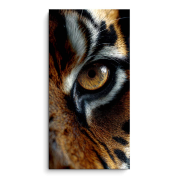 Tigre œil gros plan - tableau PVC mat