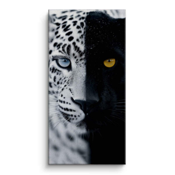 Leopard Duality Canvas Art