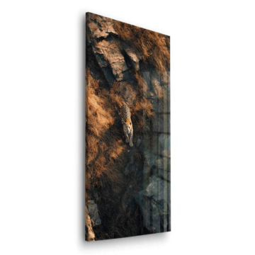 Leopard Rock Camouflage Acrylic Glass Art