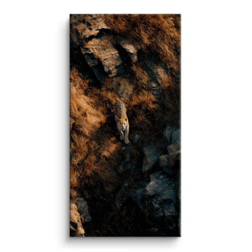 Leopard Rock Camouflage Canvas Art