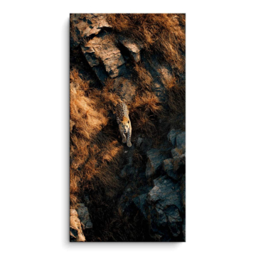 Leopard Rock Camouflage PVC Matt Art