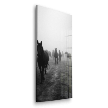 Foggy Horse Herd Acrylic Glass Art