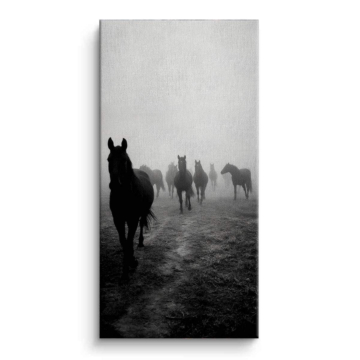 Foggy Horse Herd Canvas Art