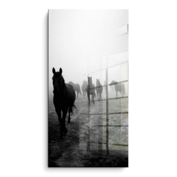 Foggy Horse Herd PVC Gloss Art