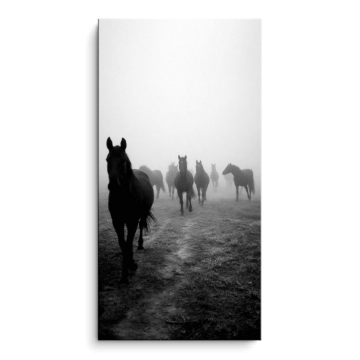 Foggy Horse Herd PVC Matt Art
