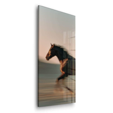 Running Horse Acrylic Glass Art