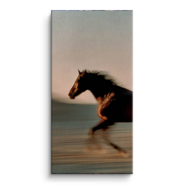 Running Horse Canvas Art