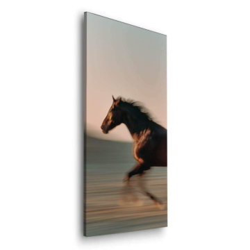 Running Horse Dibond Matt Art