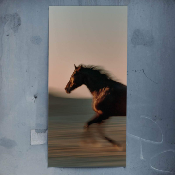 Running Horse Poster Art