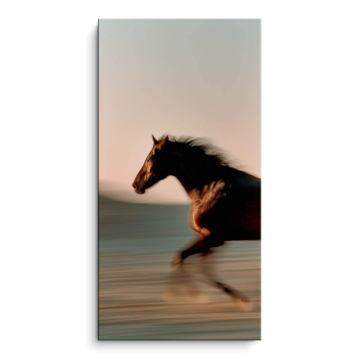 Running Horse PVC Matt Art