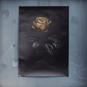 Y negro dorado rosa - póster