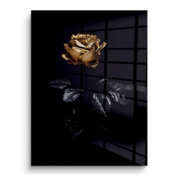 Y negro dorado rosa - cuadro PVC brillante