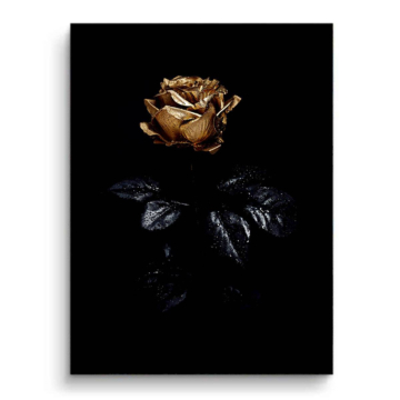 Y negro dorado rosa - cuadro PVC mate