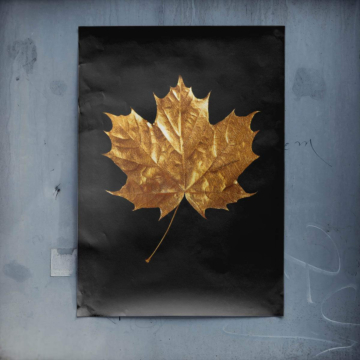 Hoja de arce dorada - póster