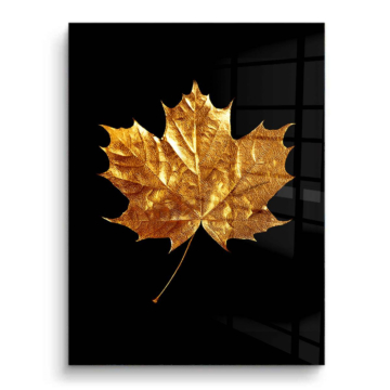 Hoja de arce dorada - cuadro PVC brillante