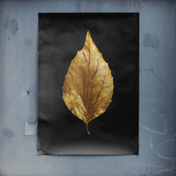 Hoja dorada individual - póster