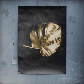 Hoja dorada prensada - póster