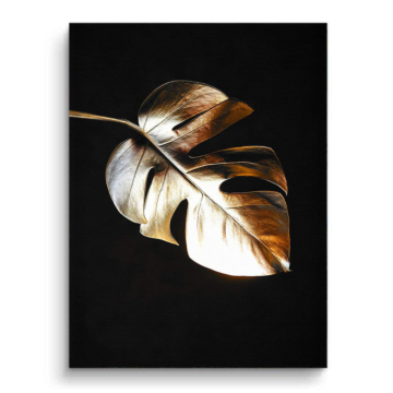 Hoja de monstera individual - cuadro en lienzo