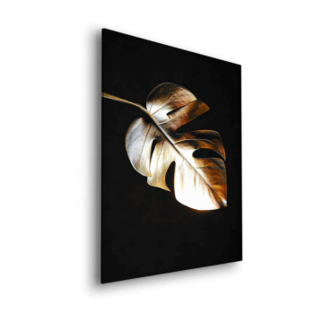 Hoja de monstera individual - cuadro Dibond mate