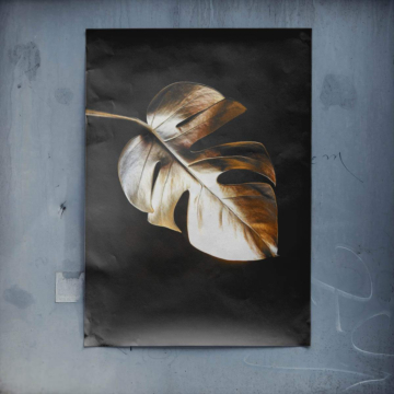 Hoja de monstera individual - póster