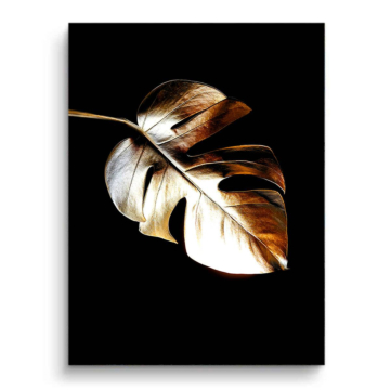 Hoja de monstera individual - cuadro PVC mate