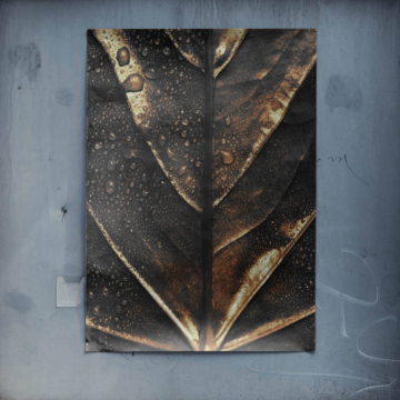 Hoja botánica oscura - póster