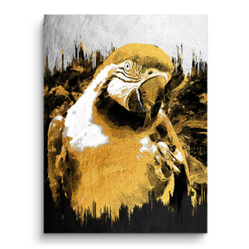 Retrato de loro dorado - cuadro en lienzo