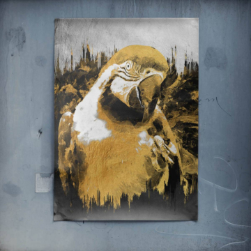 Retrato de loro dorado - póster