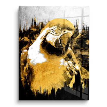 Retrato de loro dorado - cuadro PVC brillante