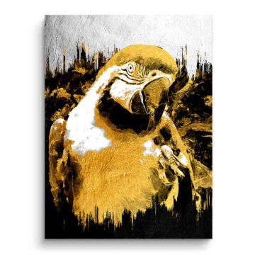 Retrato de loro dorado - cuadro PVC mate
