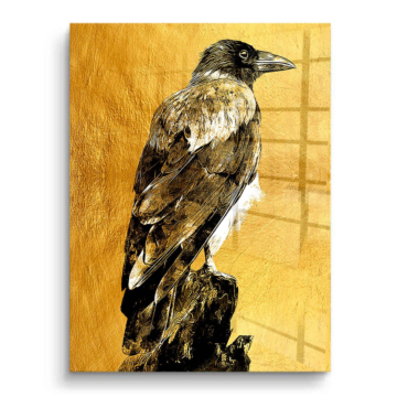 Retrato de águila dorada - cuadro PVC brillante