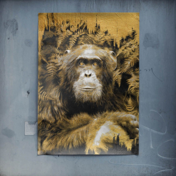 Retrato de chimpancé dorado - póster