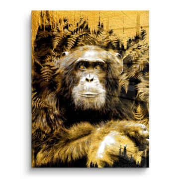 Retrato de chimpancé dorado - cuadro PVC brillante