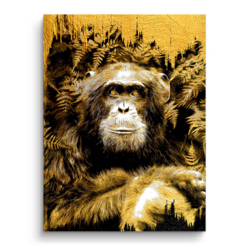 Retrato de chimpancé dorado - cuadro PVC mate