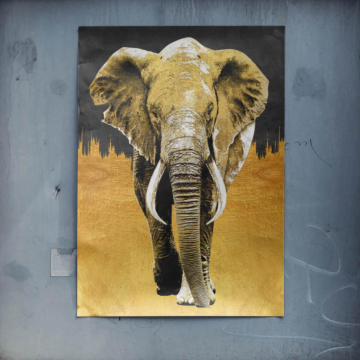 Elefante negro y dorado - póster